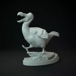 Dodo running