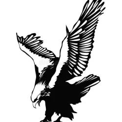 Eagle diving on its prey