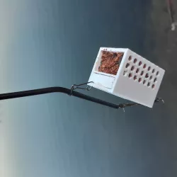 Fishing feeder cage
