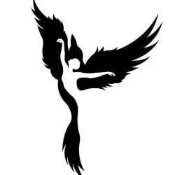 Flight