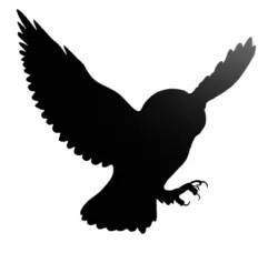 Flying Owl Wall Decor
