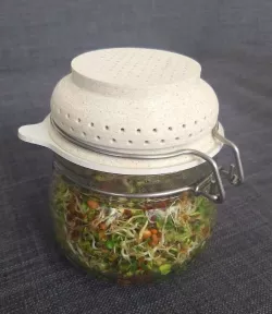 Full Power Flower Plant - Seed Sprouter