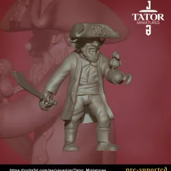 Goblin Captain Pirate