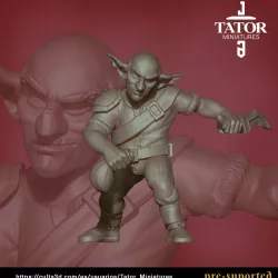 Goblin Pirate 3