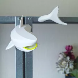 Hook -Shark with Denture-