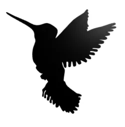 Hummingbird Wall Art