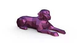 labrador