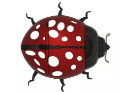 ladybird decoration