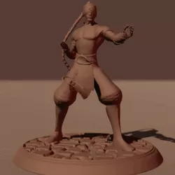 LEE SIN THE BLIND MONK - LEAGUE OF LEGENDS