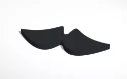 moustache