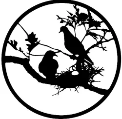 Nest