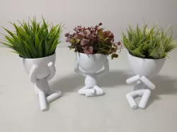 Robert Plant Vase - Three Wise Roberts