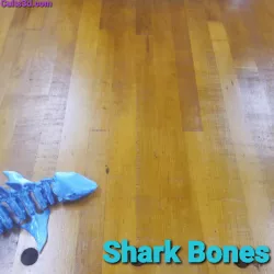 Shark Bones and bonus file Prehistoric rat bones. Updated files