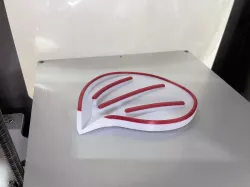 Shell Soap Box