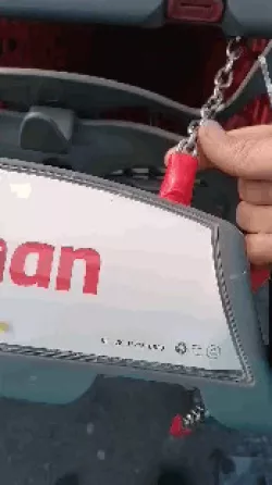 shopping cart