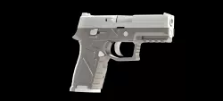 Sig Sauer P320-250 Lower Frame