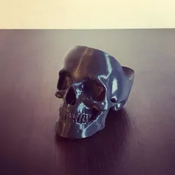 Skull 3D