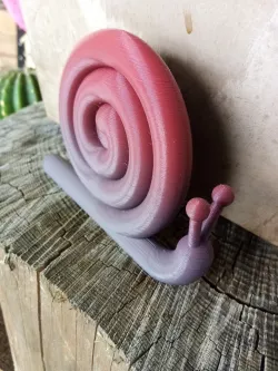 Snail