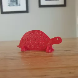 Tortoise