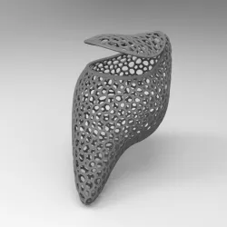 wallet clutch wallet bag pocket pocket voronoi bag parametric bag