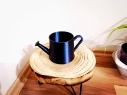 Watering can flower pot
