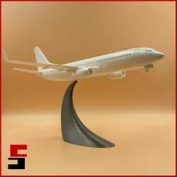 Airplane Boeing 737 - 800