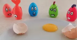 Angry Eggs - Yalk SEPARATOR - Egg SEPARATOR