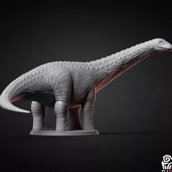 Apatosaurus/Brontosaurus - Dino