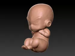 BABY ROSCA DE REYES JIREN DRAGON BALL SUPER