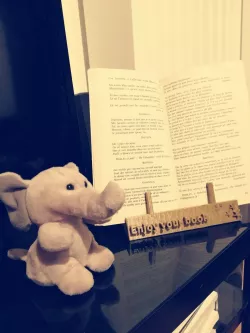 Book holder