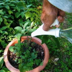 bottle sprinkler