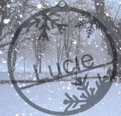 Boule noel prenom / snow flake names
