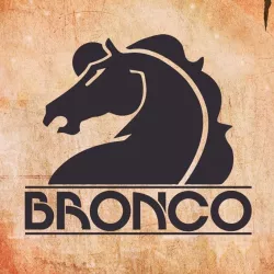 Bronco Horse - Horse