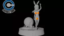 Bulma Naked & Capsule Corp Ship
