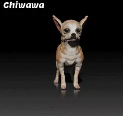 Chihuahua - Chiwawa - DOG BREED - CANINE -3D PRINT MODEL