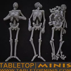 Corpse Skeleton