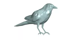 CROW 3d model