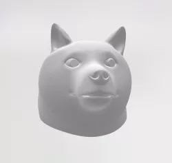 Dogecoin doge meme valvecap