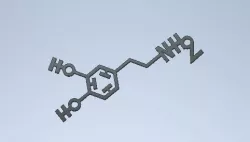 Dopamine molecule (C8H11NO2
