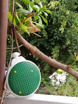 Dragon radar