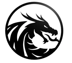 Dragon wall decor