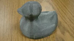 Ducky Swimming