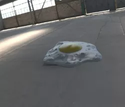 egg egg ovo