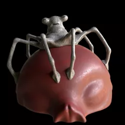 Eye of Webbish Bog