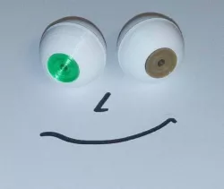 Eyeballs [no support, modular]