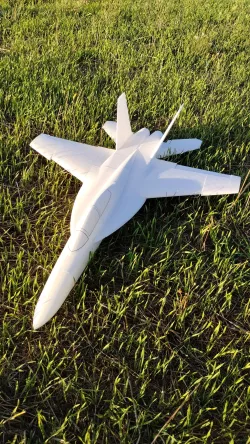 F18 HORNET & SUPER HORNET - 50 MM EDF JET [RC PLANE]