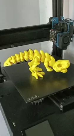 Flexi Rex skeleton