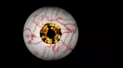 Free rigged eyes of redemption