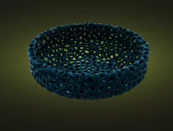 fruit bowl