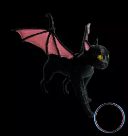 Gato Vampiro / Bat Cat